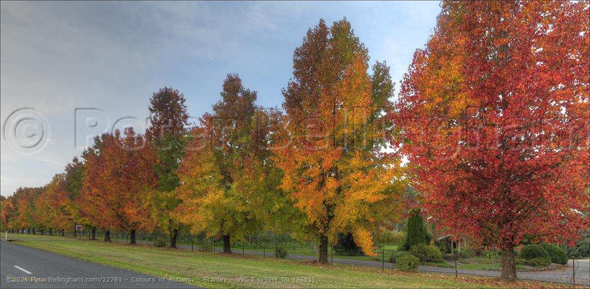 Peter Bellingham Photography Colours of Autumn - Stanley - VIC T (PBH4 00 13511)